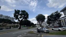 Hougang Street 21 (D19), Shop House #519695281